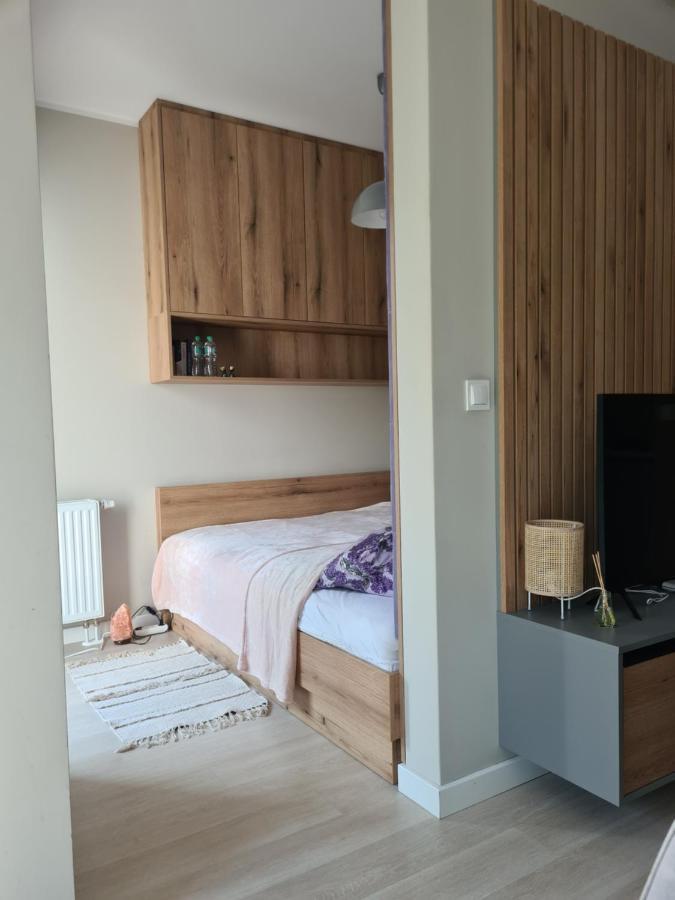 Mostowa 23 Bruno Apartment, Self Check-In 24H, Free Parking, Air-Conditioning ポズナン エクステリア 写真